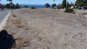 Photo of Current Pilot Project Site